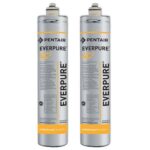 2 Filtres Antimicrobiens Everpure 4c2 0,5 Micron